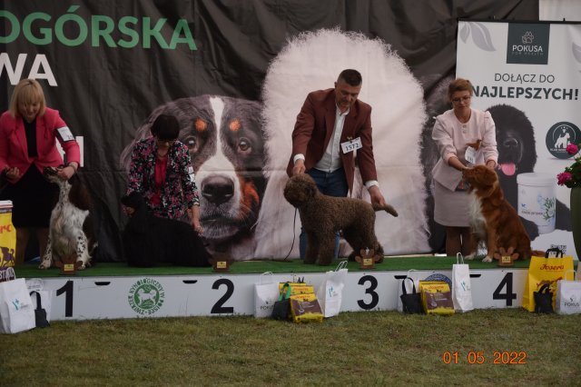 pieski3d 202